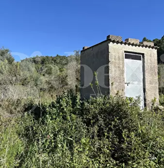 Foto annuncio 15