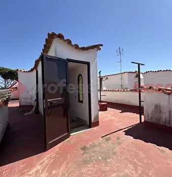 Foto annuncio 41