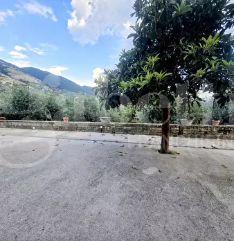 Foto annuncio 10