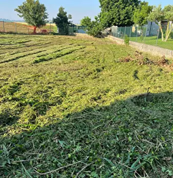 Foto annuncio 5