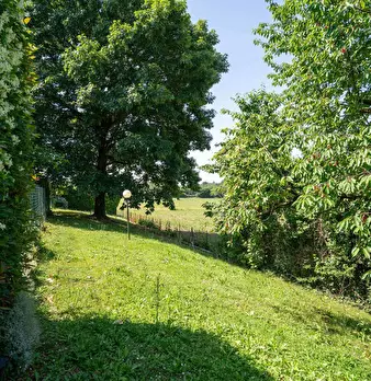 Foto annuncio 36