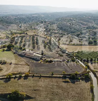 Foto annuncio 8