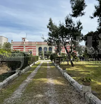 Foto annuncio 37
