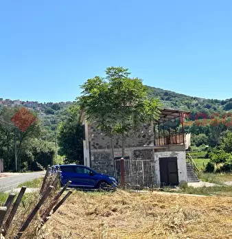 Foto annuncio 6