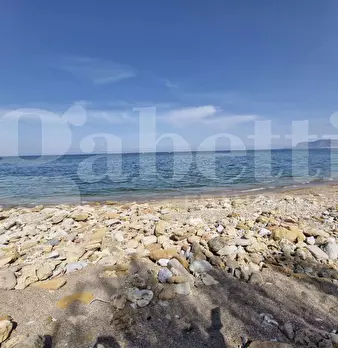 Foto annuncio 35