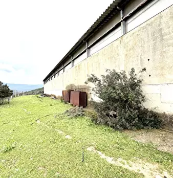 Foto annuncio 3