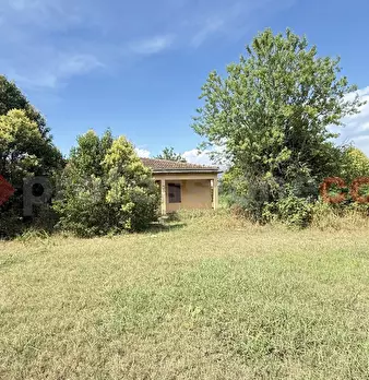 Foto annuncio 8