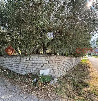 Foto annuncio 12