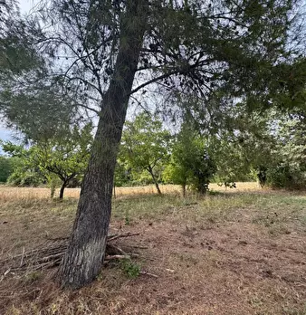 Foto annuncio 6