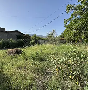 Foto annuncio 16