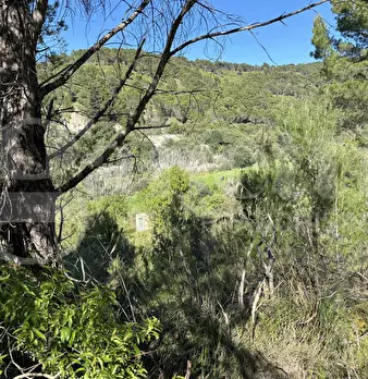 Foto annuncio 21
