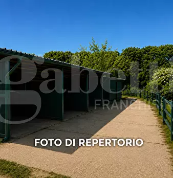 Foto annuncio 11