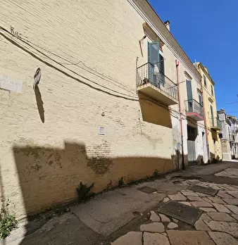 Foto annuncio 31