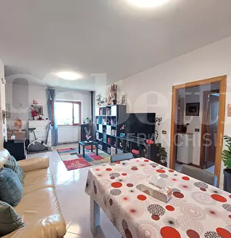 Foto annuncio 8