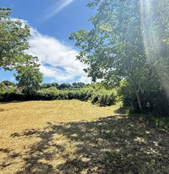 Foto annuncio 32