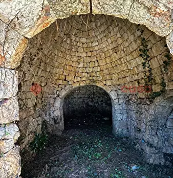 Foto annuncio 5