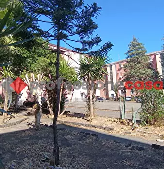 Foto annuncio 25