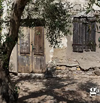 Foto annuncio 2