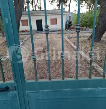 Foto annuncio 5