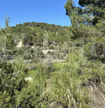 Foto annuncio 28