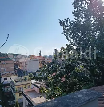 Foto annuncio 24