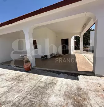 Foto annuncio 1