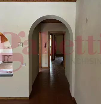 Foto annuncio 7