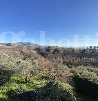 Foto annuncio 31