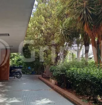 Foto annuncio 19