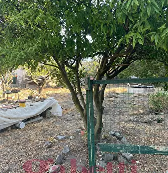 Foto annuncio 11