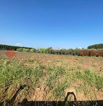 Foto annuncio 12