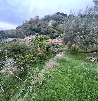 Foto annuncio 38