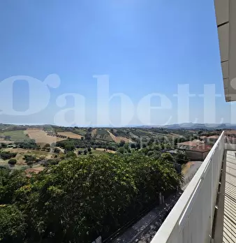 Foto annuncio 6