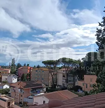Foto annuncio 36