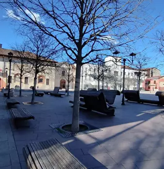 Foto annuncio 19