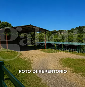 Foto annuncio 8