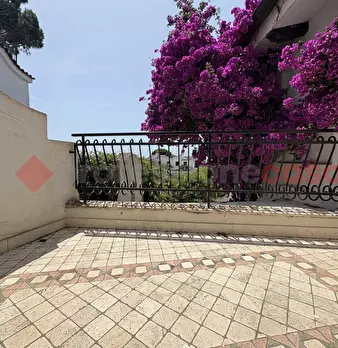 Foto annuncio 32