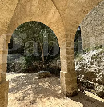 Foto annuncio 37