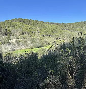 Foto annuncio 11