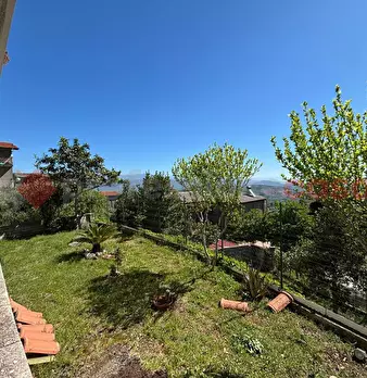 Foto annuncio 14