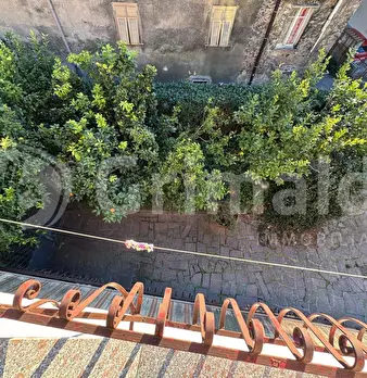 Foto annuncio 19