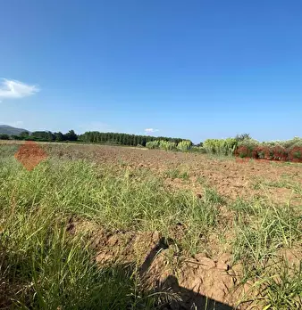 Foto annuncio 34