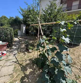 Foto annuncio 23