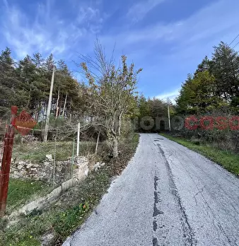 Foto annuncio 27