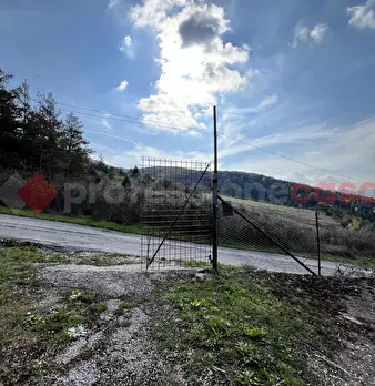 Foto annuncio 31