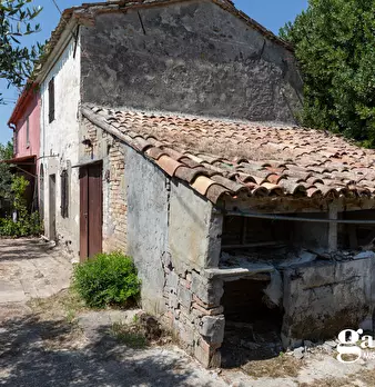 Foto annuncio 5