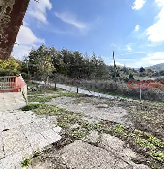 Foto annuncio 28