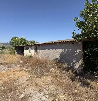 Foto annuncio 15