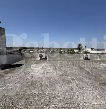 Foto annuncio 44