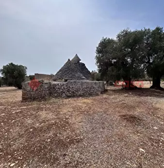 Foto annuncio 6